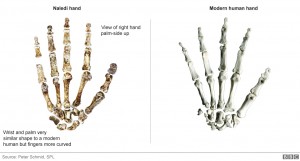 hands_976