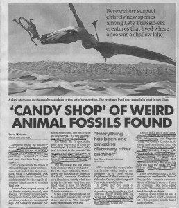 CandyShopAnimalFossils