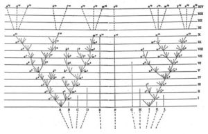 Darwin's Tree of Life