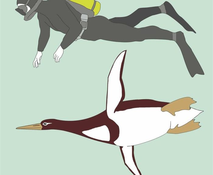 'monster' penguin